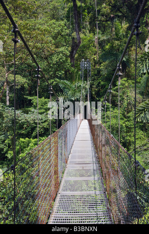 Bridge en Arenal, Alajuela, Costa Rica Banque D'Images