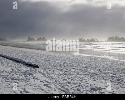 En hiver Long Beach, Tofino, Vancouver Island, British Columbia, Canada Banque D'Images