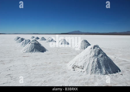 Le séchage du sel sur le Salar de Uyuni salt flat près du village de Colchani, une heure au nord d'Uyuni. Banque D'Images