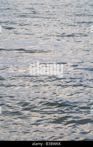 Vagues sur un lac, une rivière ou l'océan Banque D'Images