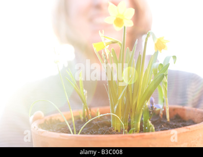 Une femme admirant ses jonquilles Banque D'Images