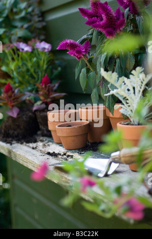 Les pots de fleurs sur le plateau d'un shed Banque D'Images