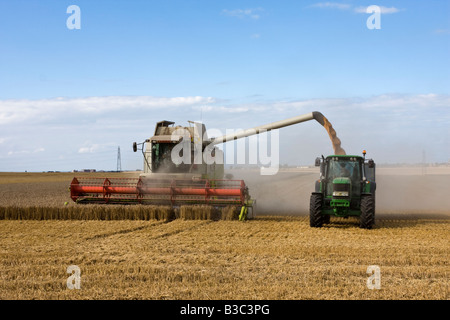 6 séquence 7 de la récolte à la moissonneuse-batteuse qui travaillent dans les champs de blé de Thanet Kent Banque D'Images