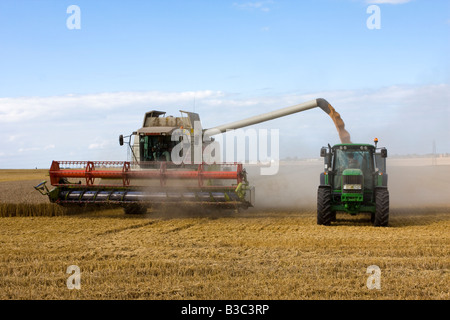 7 séquence 7 de la récolte à la moissonneuse-batteuse qui travaillent dans les champs de blé de Thanet Kent Banque D'Images