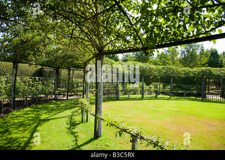 Arbres poires frais généraux formés au Prieuré d'Orsan jardins France Banque D'Images