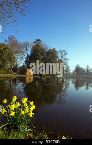 L'Angleterre, dans le Dorset, Thorncombe. L'Abbaye de Forde fait partie de la frontière entre le Dorset et le Somerset et son élégant ancien monastère cistercien et ses 30 hectares de jardins primés situé dans un espace de beauté naturelle exceptionnelle en font l'une des principales destinations touristiques de l'Ouest Dorset. Ici le grand étang est dominé par le hêtre 'House'. Banque D'Images