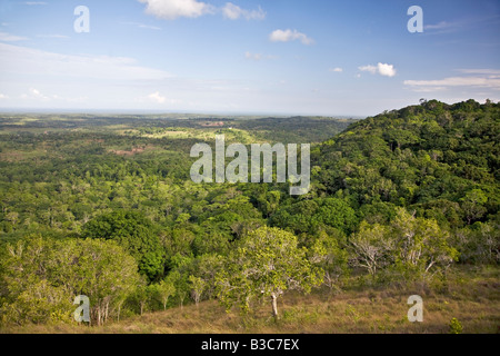 Kenya, district de Kwale, Shimba Hills. Une partie de la forêt côtière autochtone sur le site Shimba Hills, au sud de Mombasa, avec l'océan Indien dans le lointain. Banque D'Images