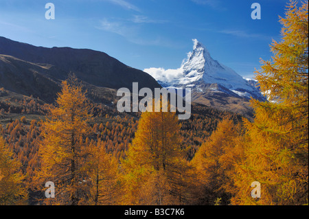 Cervin avec mélèze arbres en automne, Zermatt, Valais, Suisse Banque D'Images