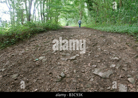 Costhorpe Worksop Bretagne Angleterre GO UK 2008 Banque D'Images