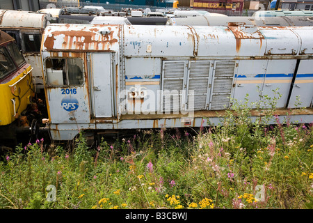 Chesterfield Derbyshire UK Barrow Hill Railway Centre Roundhouse locomotives diesel non restaurés dans une cour Banque D'Images