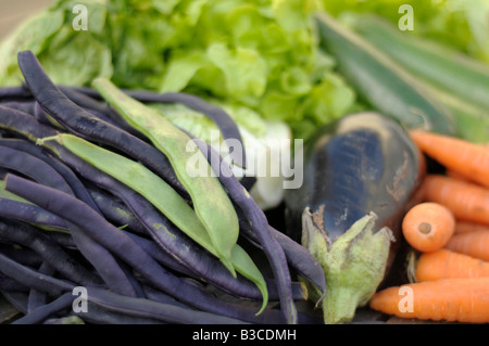 Des légumes biologiques fraîchement cueillis Banque D'Images