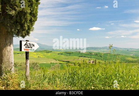 Paysage toscan traditionnel près de San Quirico, Valle de Orcia, Toscane, Italie Banque D'Images