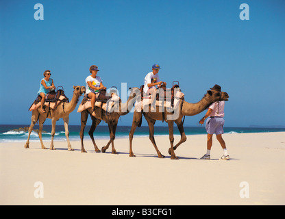 Les touristes appréciant en chameau sur la plage au Port Macquarie, Nouvelle Galles du Sud. L'Australie. Banque D'Images