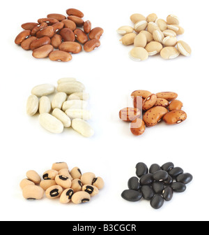 Assortiment de différents types de haricots : red kidney, jacinthe, blanc (cannelini), pinto, haricots noirs et Black Eyed Peas Banque D'Images
