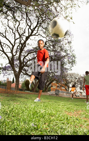 Troyeville MonkeyApple Gauteng Johannesburg CBD Stock Photography cc 2007 Publié Banque D'Images