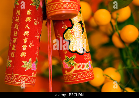 La Chine, Beijing. Fête du Printemps le Nouvel An chinois - décorations accrochées sur un oranger pour la bonne chance et de la fortune. Banque D'Images