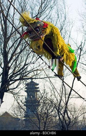 La Chine, Beijing. Beiputuo temple et studio de cinéma. Nouvel An chinois Fête du Printemps - un artiste de danse du lion grimper en haut d'un haut fil Banque D'Images