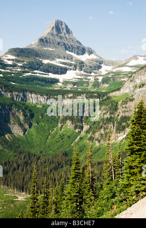 Vue d'aller au soleil route près de Logan Pass dans le parc national des Glaciers Banque D'Images