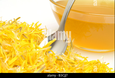 Sirop fait des fleurs de pissenlit commun Taraxum officinale alimentaire édulcorant doux Leontodon officinale dente de leone Soffi Banque D'Images