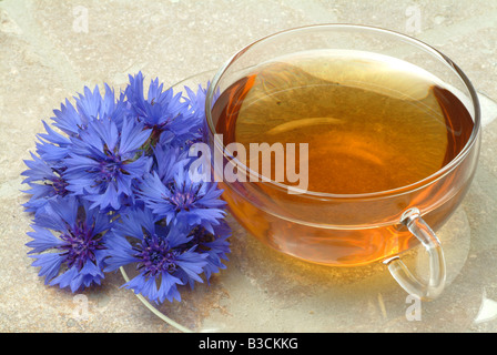 Te thé médicinal des plantes médicinales Bleuet Centaurea cyanus vero Fiordalismo Banque D'Images