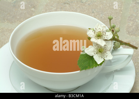 Herbtea formés de feuilles et fleurs de l'billberry ou blueberry Vaccinium myrtillus corymbosum Mirtillo fogiia Banque D'Images