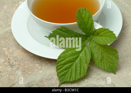 Herbtea formés de feuilles et fleurs de l'billberry ou blueberry Vaccinium myrtillus corymbosum Mirtillo fogiia Banque D'Images