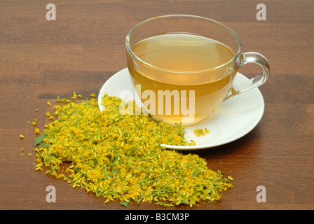 De fait herbtea Solidago Solidago virgaurea verge d'or Solidago canadensis Banque D'Images