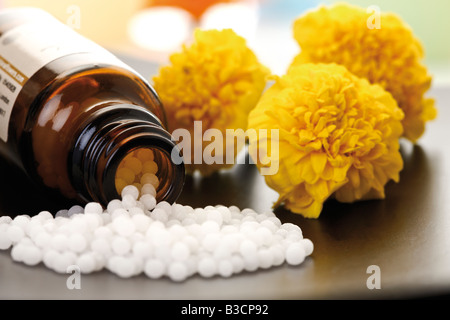 Ballon médicinal avec pills en face de Tagetes, close-up Banque D'Images
