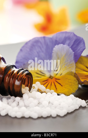 Ballon médicinal avec pills en face de Horned violette (Viola Cornuta), close-up Banque D'Images