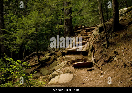 Étapes journal et une plate-forme de facilité la difficile montée vers Kaaterskill Falls dans la région de Hunter, New York. Banque D'Images