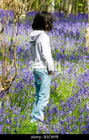 Petite fille regarde autour dans un bois bluebell Banque D'Images