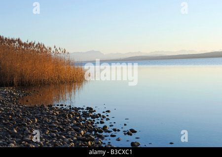 L'Allemagne, la Bavière, le lac Ammer en soirée Banque D'Images