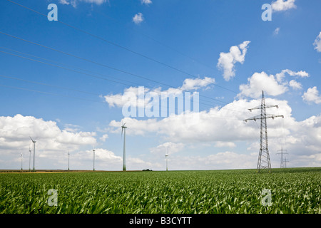 Allemagne (Saxe-Anhalt), champ d'éoliennes et de pylônes Banque D'Images