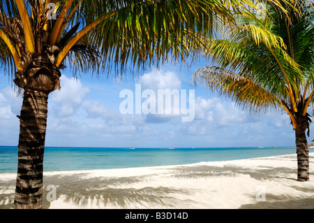 Madagaskar, Cozumel, Plage Banque D'Images