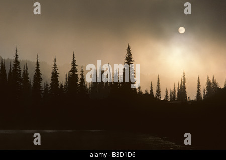 Lever du soleil dans le brouillard près de Lac avec réflexion sur l'homme qui se profile Road Mount Rainier National Park l'État de Washington, USA Banque D'Images