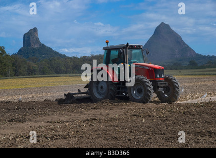 Labourer les champs d'un agriculteur dans une plantation d'ananas près du Glasshouse Mountains dans le Queensland en Australie Banque D'Images