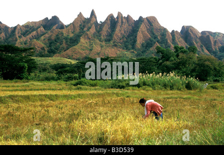 Démons terres tribales mangyan de montagne près de san jose mindoro philippines Banque D'Images