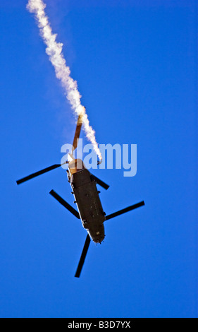 L'armée des Tigres de parachute de chute libre à l'équipe d'affichage d'affichage à Dunsfold Roues Ailes Surrey UK 2008 Banque D'Images