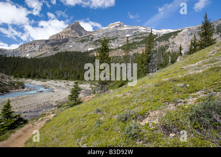 Le Lac Bow et Sommet Bow, dans le parc national Banff Banque D'Images