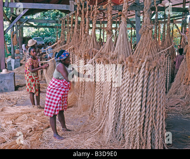 Tressage de cordes dans le sud de Madagascar Une tresse est un assemblage de paquets de fibres au moins trois selon un schéma ré Banque D'Images