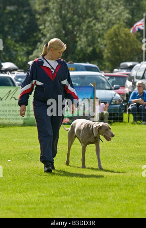 L'équipe de démonstration canine Chesire Banque D'Images