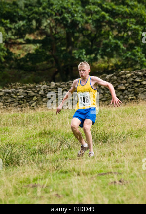 Fellrunner à Grasmere show Banque D'Images