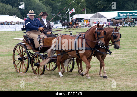 Une entrée dans la salle de classe de conduite, le Cranleigh Show 2008 Banque D'Images