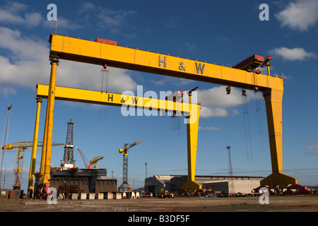 Les grues de chantier naval Harland and Wolff Samson et Goliath en chantier de Belfast en Irlande du Nord Banque D'Images