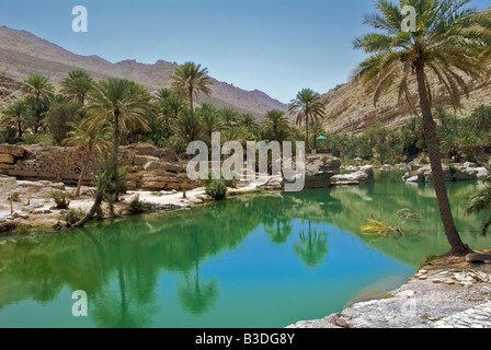Wadi Bani Khalid Piscines région de Sharqiya Oman Banque D'Images