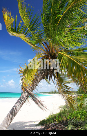 Paradis tropical sur une plage isolée à Eleuthera, une des îles des Bahamas. Banque D'Images