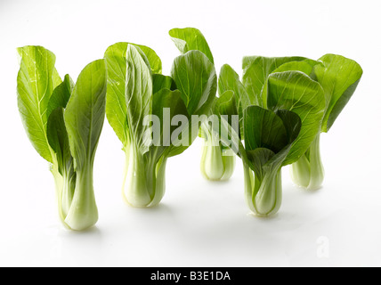 Bok choy, le chou Céleri chinois Banque D'Images