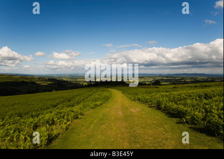 Une belle journée d'été sur le sentier long-distance d'Offa's Dyke le long de Hergest Ridge, au-dessus de Kington, Herefordshire, Royaume-Uni. Banque D'Images