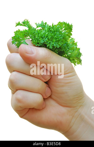 Un womanish part tient le bouquet de verdure sur fond blanc Banque D'Images