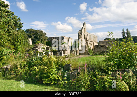 Les ruines de l'abbaye de Jervaulx, Yorkshire du Nord Banque D'Images